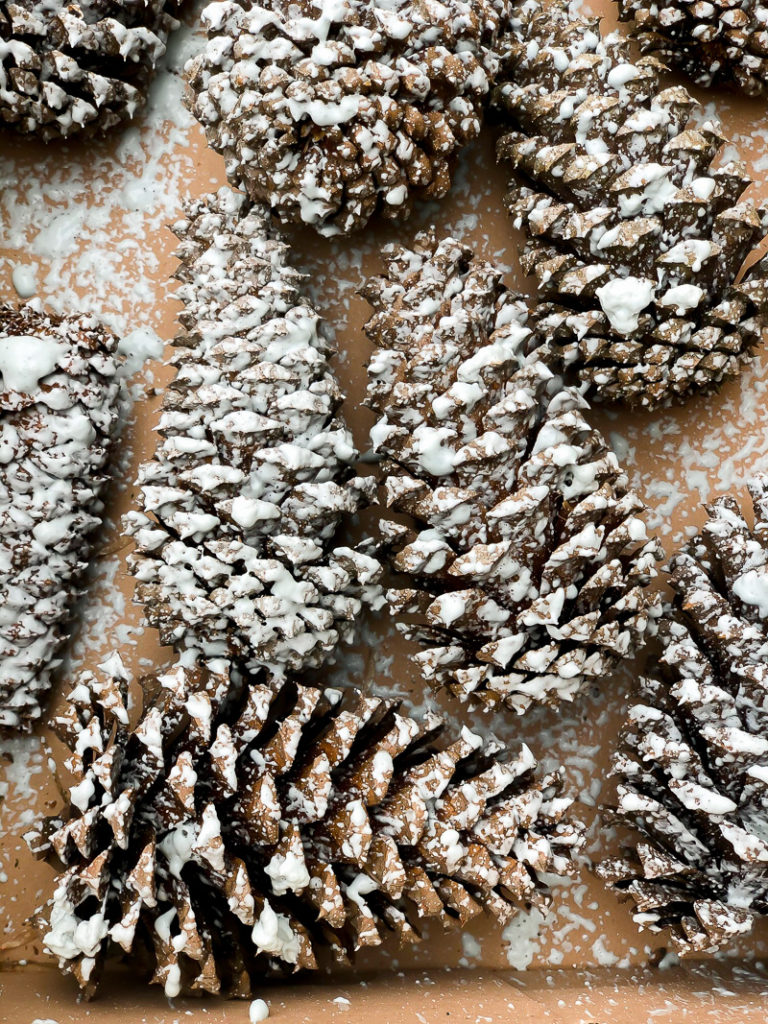 Try this tip for perfectly flocked pine cones - Duke Manor Farm by ...