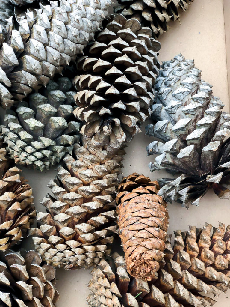 Try this tip for perfectly flocked pine cones - Duke Manor Farm by ...