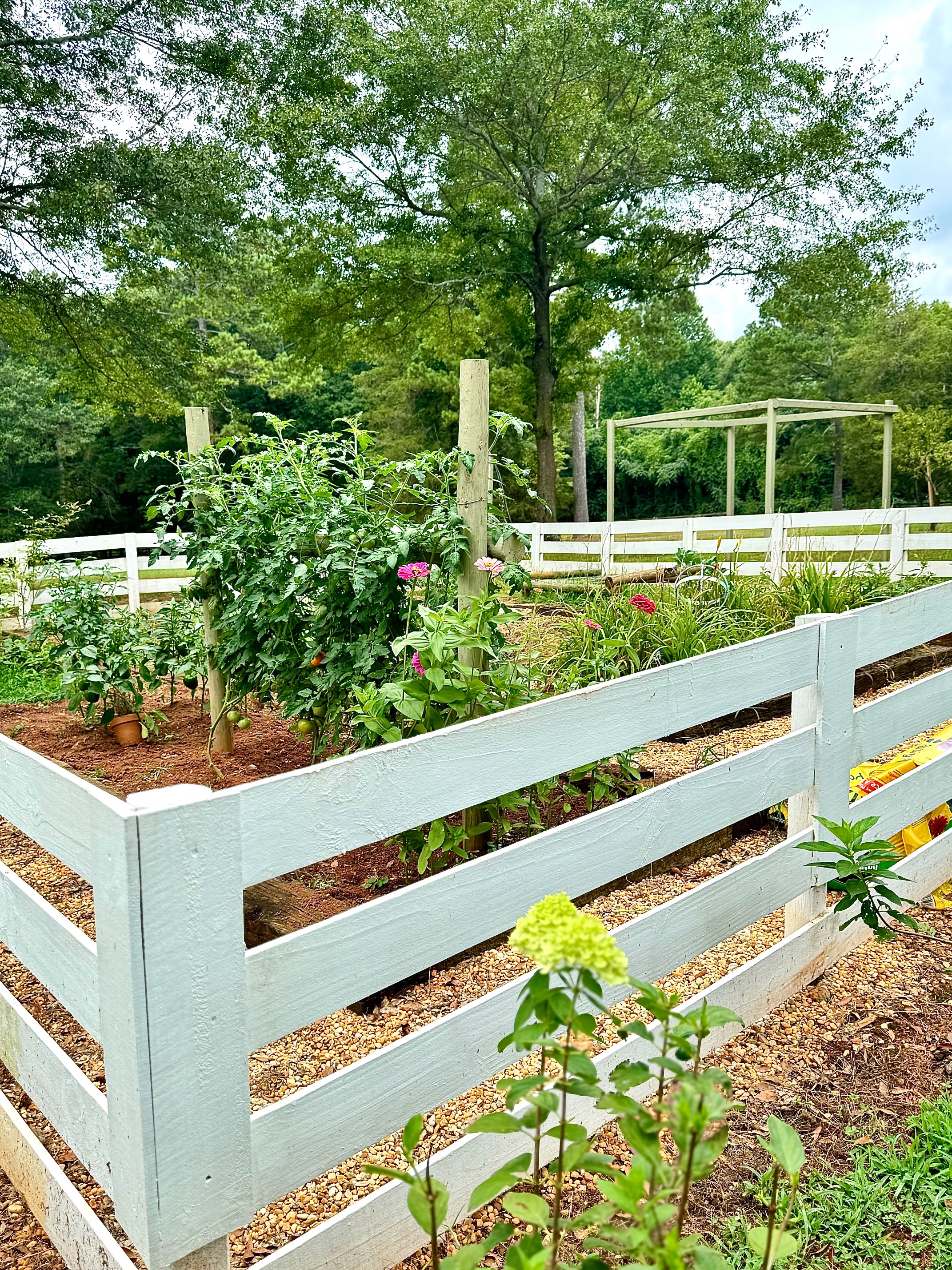 garden inside white picket fence