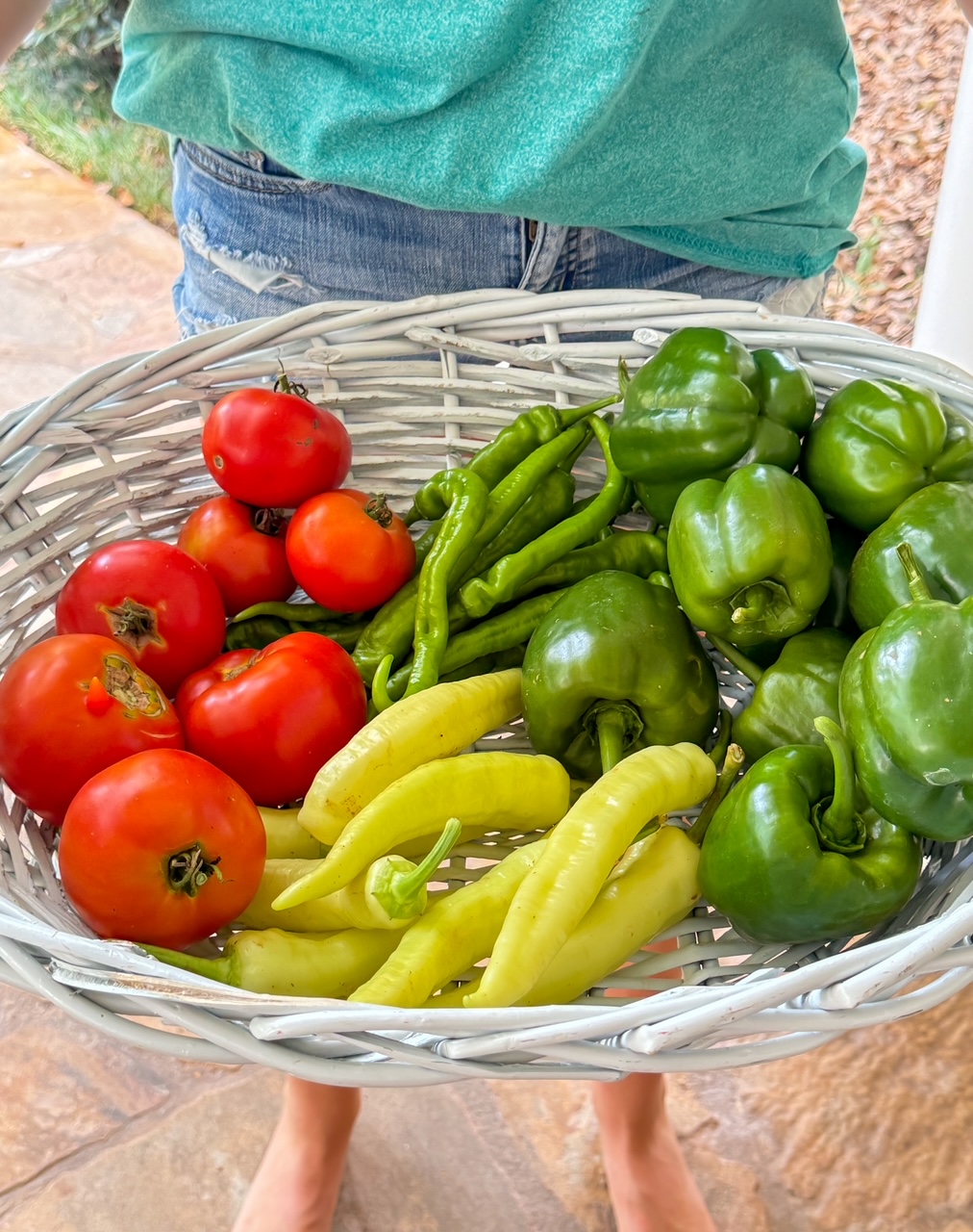 basket of vegetables from the garden